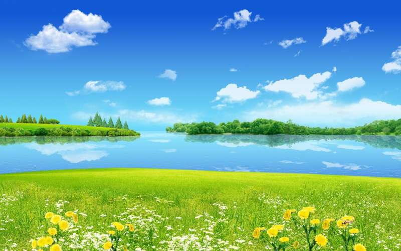 Nature And Summer Time Wallpaper