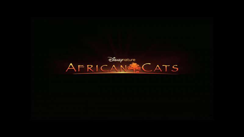 African Cats Wallpaper