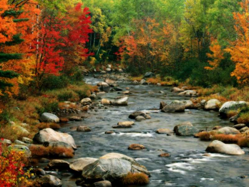 Autumn Colors White Mountains New Hampshire Wallpaper